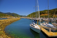 Picton;Marlborough_Sounds;Marlborough;bush;native_forrest;hills;Waikawa;Marina;W