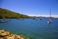 Picton;Marlborough_Sounds;Marlborough;bush;native_forrest;hills;Waikawa_Marina;b