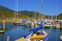 Picton;Marlborough_Sounds;Marlborough;bush;native_forrest;hills;Waikawa;Marina;W