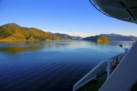 Picton;Marlborough_Sounds;Marlborough;bush;native_forrest;hills;mountains;Picton