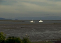 Fishing_Boats;Waimea_Inlet;Nelson;Tasman_Bay