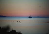 Fishing_Boats;Waimea_Inlet;Nelson;Tasman_Bay;helicopter;helicopters