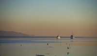 Fishing_Boats;Waimea_Inlet;Nelson;Tasman_Bay