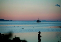 Fishing_Boats;Waimea_Inlet;Nelson;Tasman_Bay