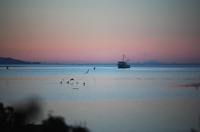 Fishing_Boats;Waimea_Inlet;Nelson;Tasman_Bay