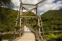 Opotike;blue_sky;Tauranga_Harp_Suspension_Bridge;bush