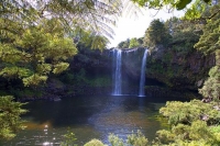 Kerikeri;Northland;Rainbow_Falls;waterfall;Kerikeri_River;native_forrest;Bush