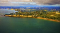 Aerial;Auckland;North_Shore;Long_Bay;Toroa_Pt;Pohutukawa_tree;Beach;blue_sea;blu