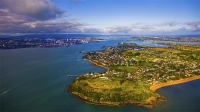 Aerial;Auckland;North_Shore;Devonport;North_Head;Pohutukawa_tree;sun_bathers;boa