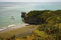 Auckland;Muriwai;Muriwai_Beach_Gannet_Colony;West_Coast_Beaches;sea_fishing;fish