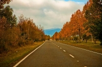 Turangi;South_Waikato;Hydro_generated_electricity;Lake_Taupo;Tongariro_River;agr