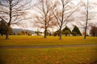 Turangi;South_Waikato;Hydro_generated_electricity;Lake_Taupo;Tongariro_River;agr