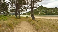 Pauanui;sandy_beaches;bachs;holiday_homes;blue_sky;blue_sea;bush;native_forrest;