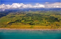 aerial;Opotike;blue_sea;blue_sky;sandy_beaches;sea;sea_fishing;harbour;bachs;coa
