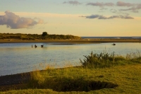 Opotike;blue_sea;blue_sky;sandy_beaches;sea;sea_fishing;harbour;bachs;coast;bluf