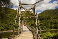 Opotike;blue_sky;Tauranga_Harp_Suspension_Bridge;bush