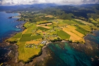 aerial;Te_Kaha;blue_sea;blue_sky;sandy_beaches;sea;sea_fishing;harbour;bachs;Fis