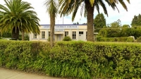 Te_Puia_Springs;District_Council_Building;palms;palm_tree