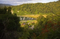 Lake_Waikaremoana;Hawkes_Bay;bluffs;cliffs;rocky_shorelines;bush;mountains;bush;
