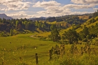 Lake_Waikaremoana;Hawkes_Bay;bluffs;cliffs;rocky_shorelines;bush;mountains;bush;