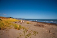 Paraparaumu;Kapiti_Coast;horticulture;agriculture;market_gardens;Tararua_Ranges;