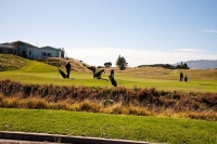 Paraparaumu;Kapiti_Coast;horticulture;agriculture;market_gardens;Tararua_Ranges;