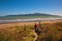 Paraparaumu;Kapiti_Coast;horticulture;agriculture;market_gardens;Tararua_Ranges;