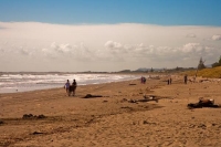 Waikanae;Kapiti_Coast;Tararua_Ranges;vegetable_growing;Blue_sky;tramping_tracks;
