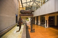 Palmerston_North;Manawatu;agriculture;agricultural_centre;airport;university;Man