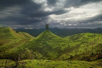 Whanganui;state_highway4;State_Highway_four;cattle;sheep;grazing;steep_country;h