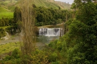 Whanganui;state_highway4;State_Highway_four;cattle;sheep;grazing;steep_country;h