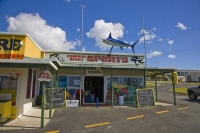 Coopers_Beach;Northland;sand_dunes;sandy_beaches;bachs;holiday_homes;bush;native