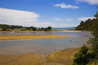 Coopers_Beach;Northland;sand_dunes;sandy_beaches;bachs;holiday_homes;bush;native