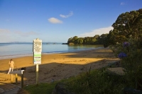 Coopers_Beach;Northland;sand_dunes;sandy_beaches;bachs;holiday_homes;bush;native