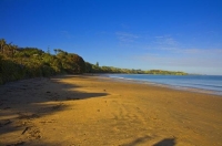 Coopers_Beach;Northland;sand_dunes;sandy_beaches;bachs;holiday_homes;bush;native