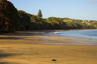 Coopers_Beach;Northland;sand_dunes;sandy_beaches;bachs;holiday_homes;bush;native