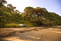 Coopers_Beach;Northland;sand_dunes;sandy_beaches;bachs;holiday_homes;bush;native