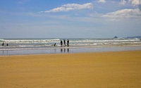 Ninety_Mile_Beach;Northland;cumulus_cloud;golden_sands;sandy_beaches;sand_dunes;