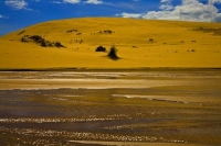 Ninety_Mile_Beach;Northland;cumulus_cloud;golden_sands;sandy_beaches;sand_dunes;