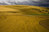Ninety_Mile_Beach;Northland;cumulus_cloud;golden_sands;sandy_beaches;sand_dunes;