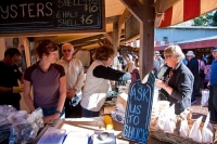 Matakana;Rodney;Viveyards;market;farmers_market;public_toilets;Oyster;Vendors