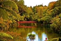 New_Plymouth;Taranaki;Pukekura_Park_Bridge;Pukekura_Park;red_Bridge;palms;ponga;