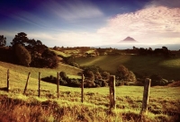 Taranaki;Mount_Taranaki;Mount_Egmont;bush;native_forrest;landscape;paddocks;gree