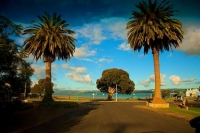 Kawhia;Waikato;coastal;bachs;holiday_homes;bush;native_forrest;blue_sky;blue_sea