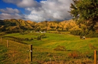 Kawhia;Waikato;coastal;bachs;holiday_homes;bush;native_forrest;blue_sky;Pictures