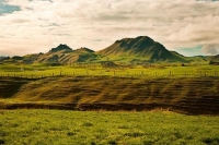 Mangakino;Waikato;agricultural;Dairy;Dairy_industry;timber_industry;Lake_Maraeta