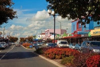 Te_Awamutu;Waikato;agricultural;Dairy;Dairy_industry;agriculture;sheep;roses;ros