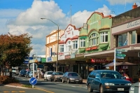 Te_Awamutu;Waikato;agricultural;Dairy;Dairy_industry;agriculture;sheep;roses;ros