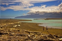 Palliser_Bay;Wairarapa;rocky_shoreline;coast_road;lighthouse;seals;bachs;holiday