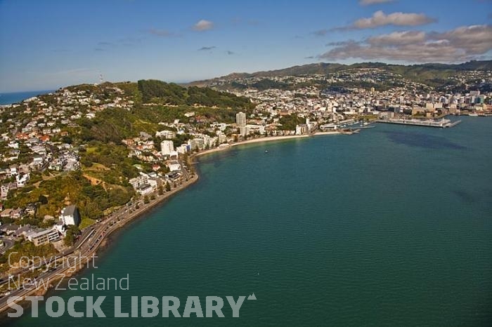 Aerial-Wellington-Oriental Bay